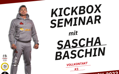 Kickbox-Seminar mit Sascha Baschin